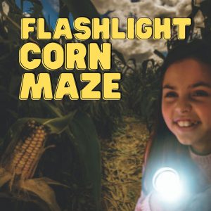 Flashlight Corn Maze