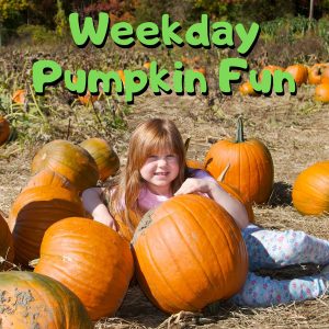 Weekday Pumpkin Fun