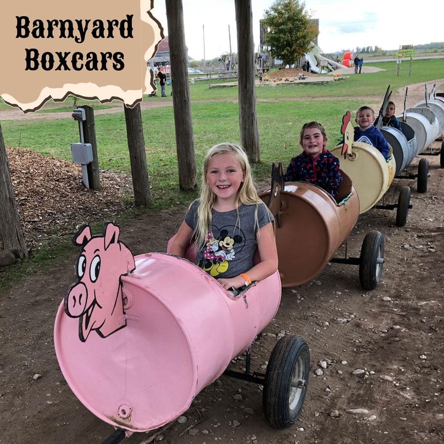 Barnyard Boxcars