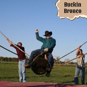 Buckin Bronco