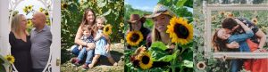 Sunflower Experience