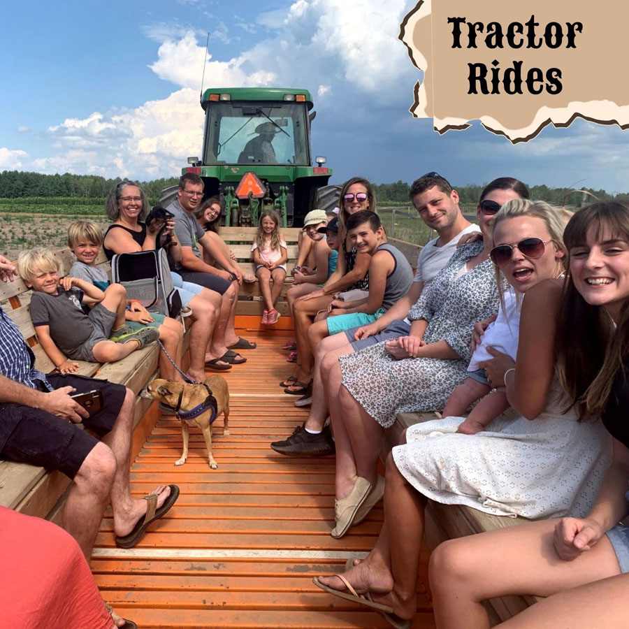 Tractor Rides 