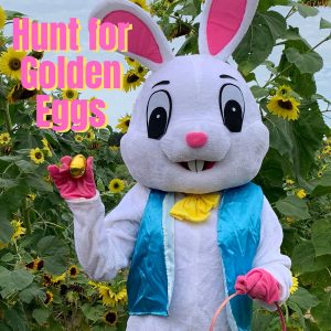 Hunt for Golden Eggs