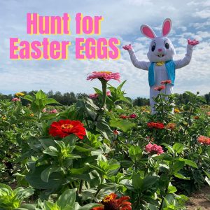 Hunt for Easter Eggs