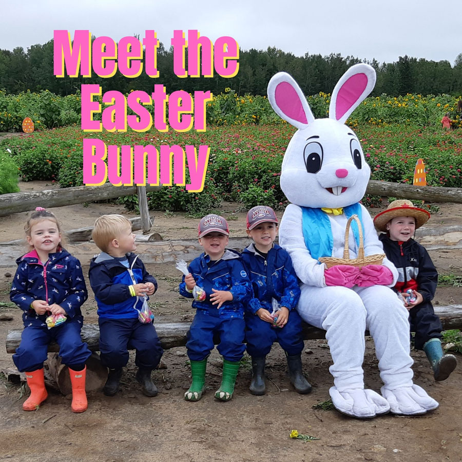 Meet the Easter Bunny