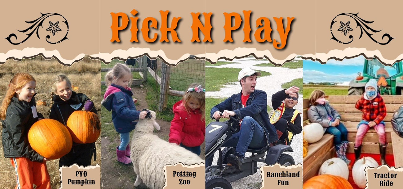 Pick N Play