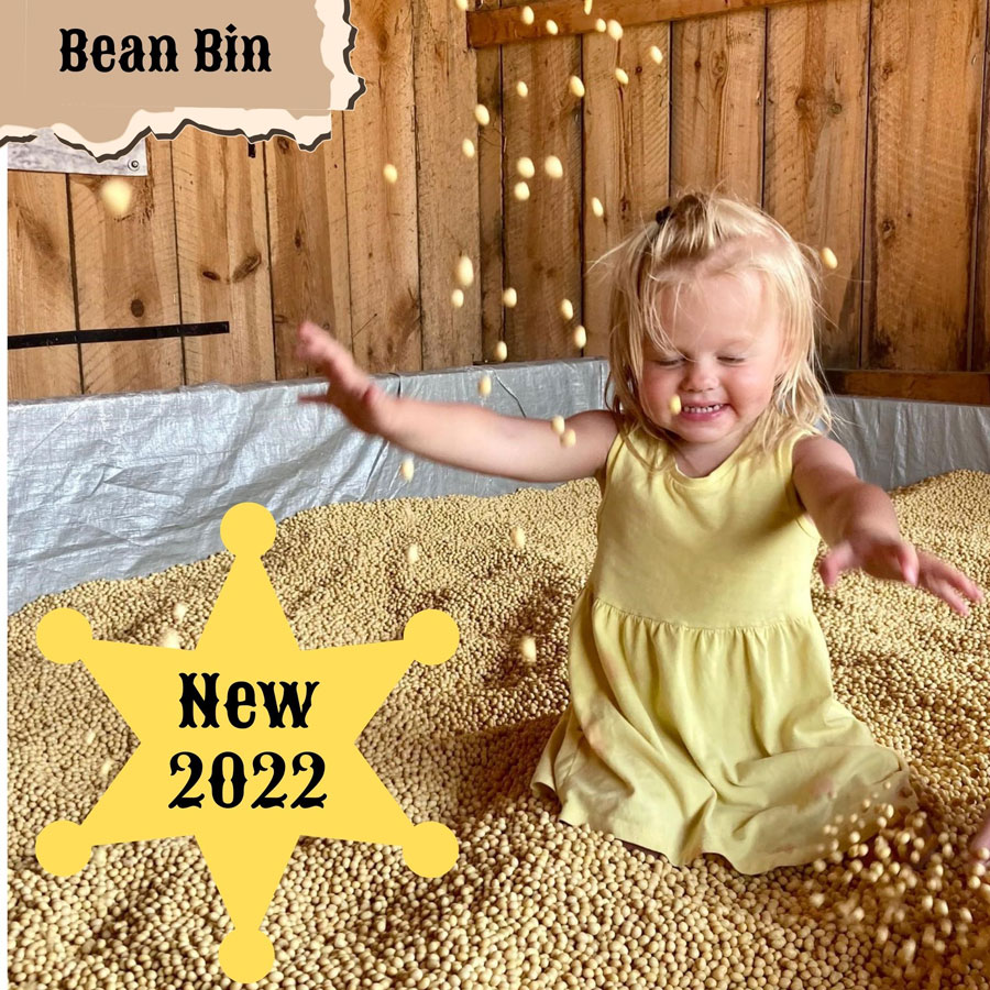 Bean Bin