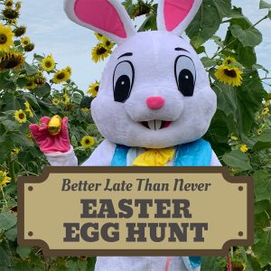 Better Late than Never Easter Egg Hunt