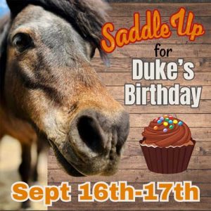 Duke's Birthday Party