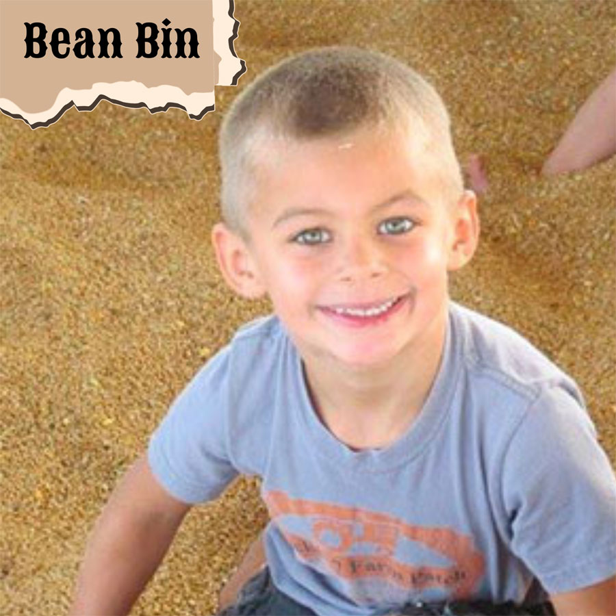 Bean Bin