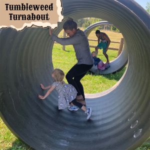 Tumbleweed Turnabout
