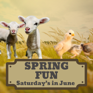 Spring Fun Days - Rounds Ranch