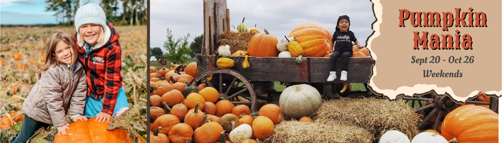 Pumpkin Mania