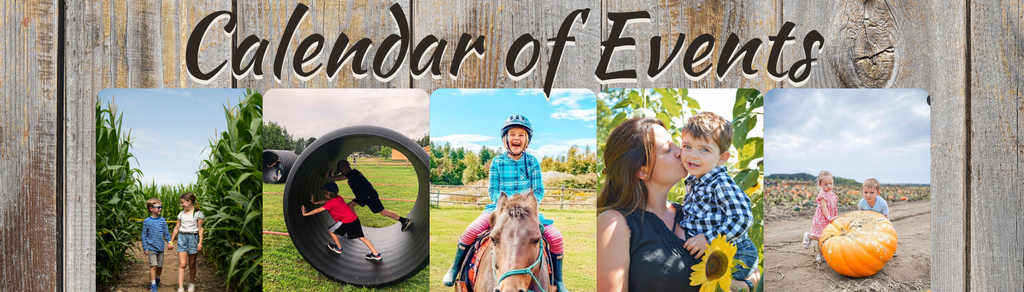 Family Fun at Rounds Ranch