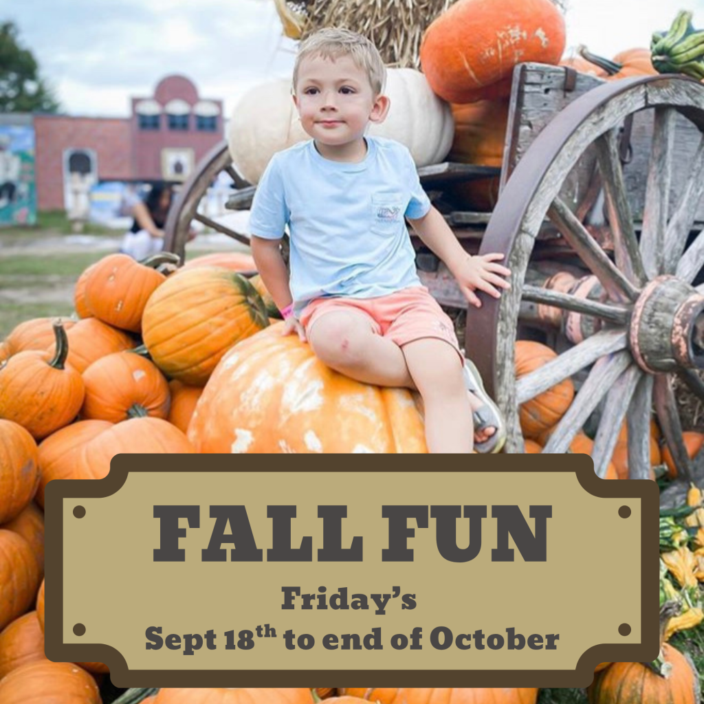 Fall Fun Friday's
