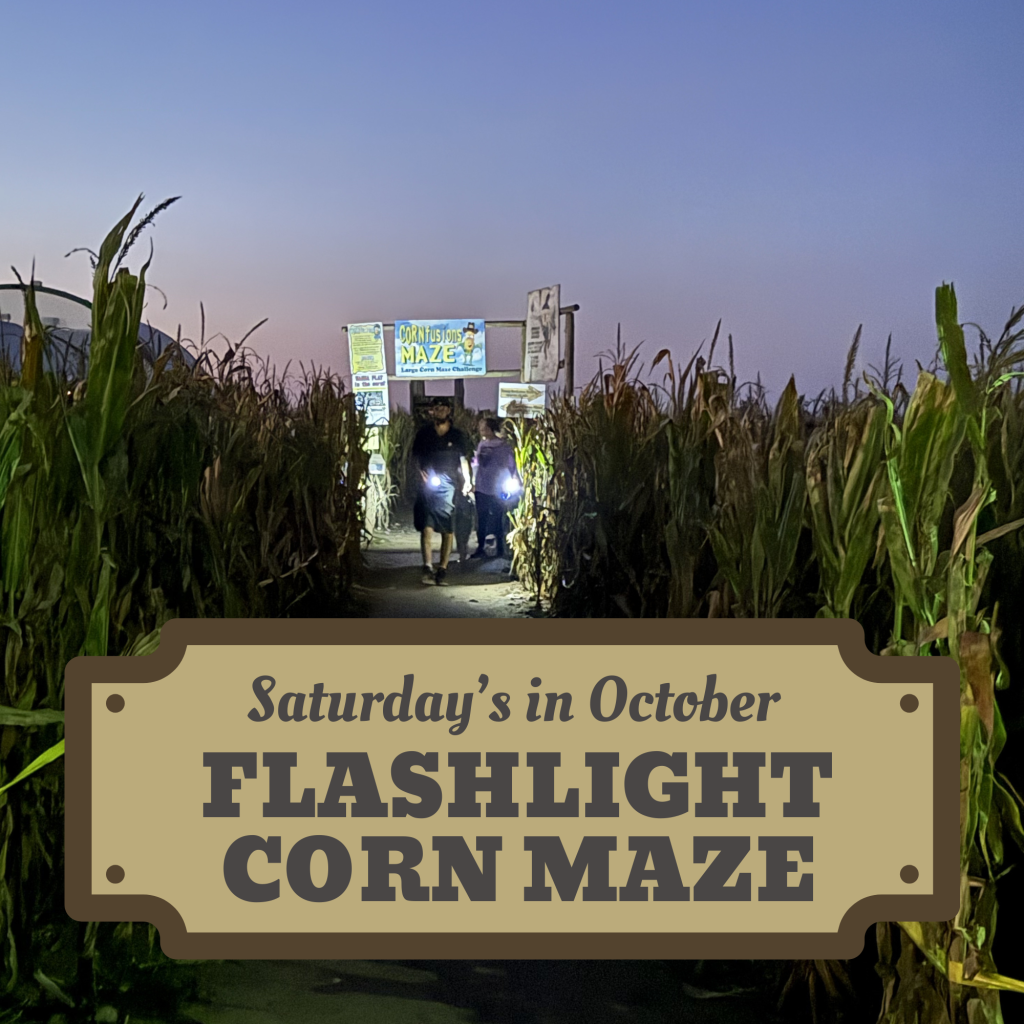 Flashlight Corn Maze