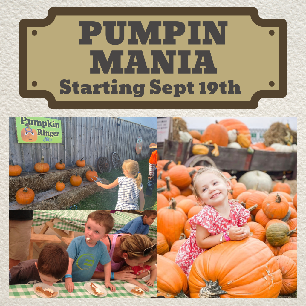 Pumpkin Mania