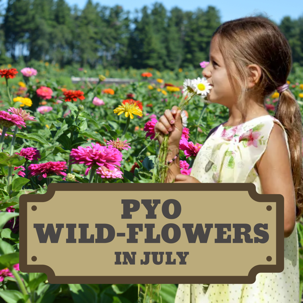 Summer Fun at Round Ranch