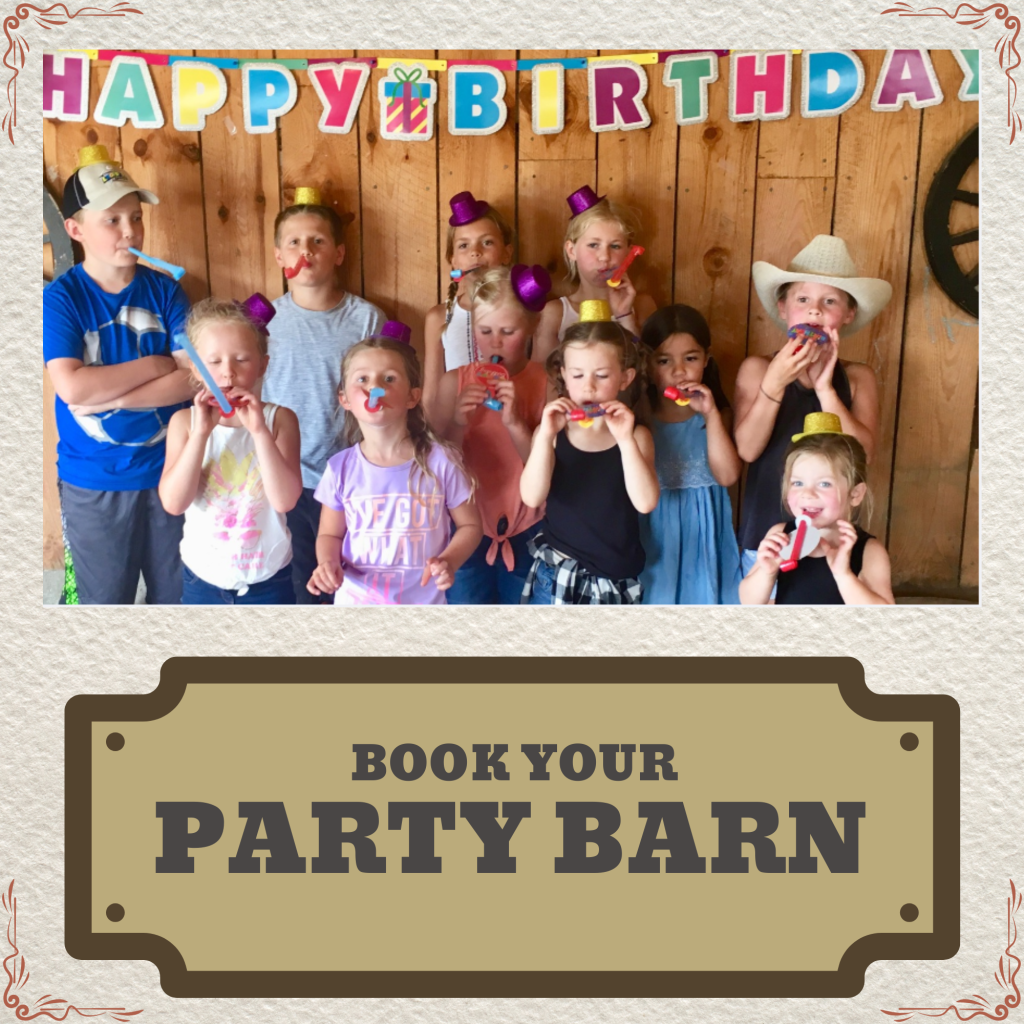 Book Your Party Barn